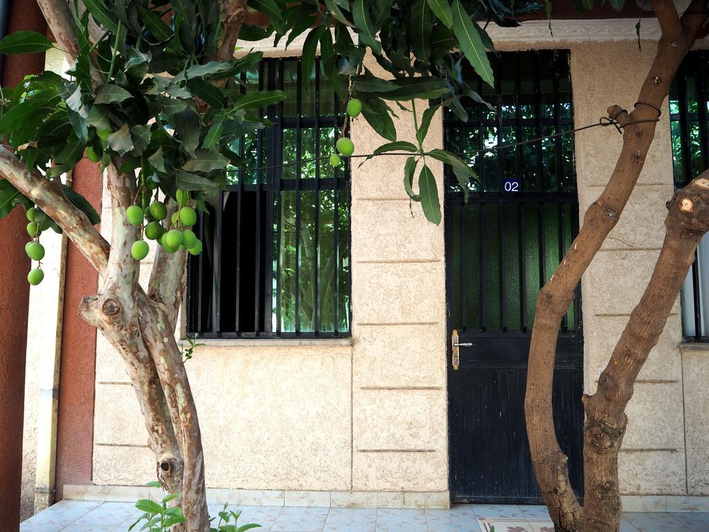 Manuhie Backpackers Lodge Bahir Dar Zimmer foto
