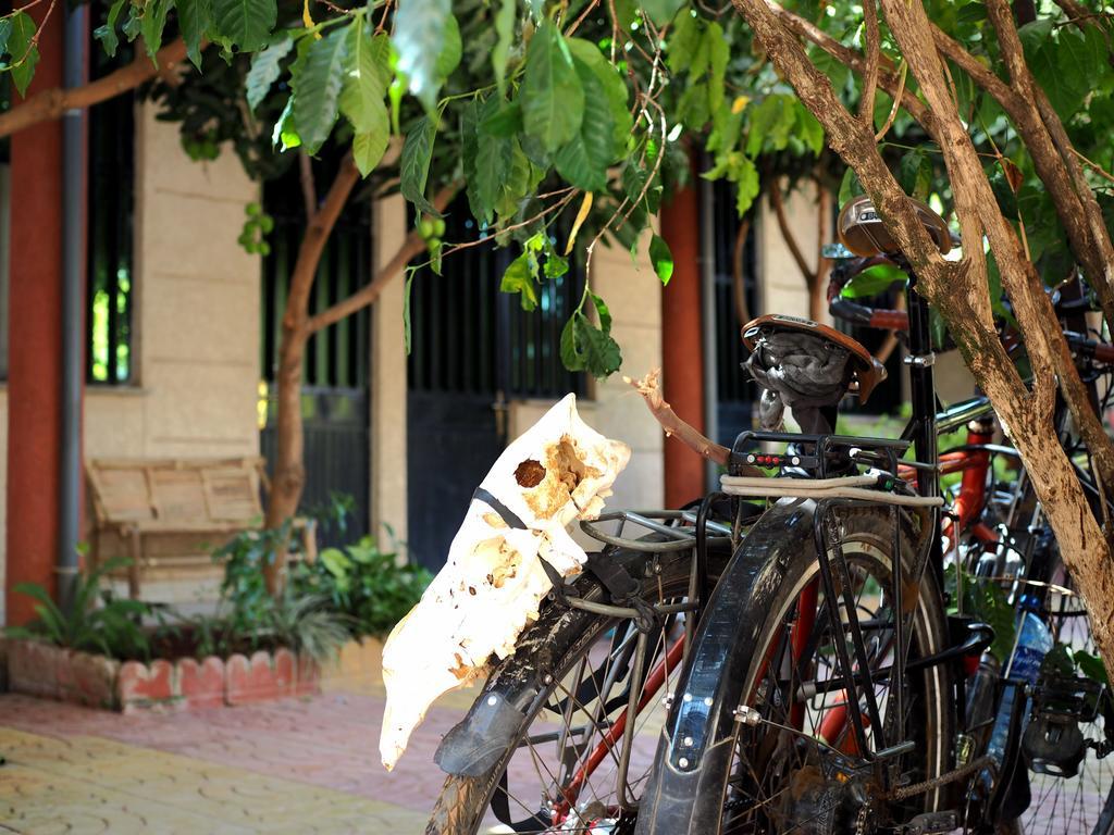 Manuhie Backpackers Lodge Bahir Dar Zimmer foto