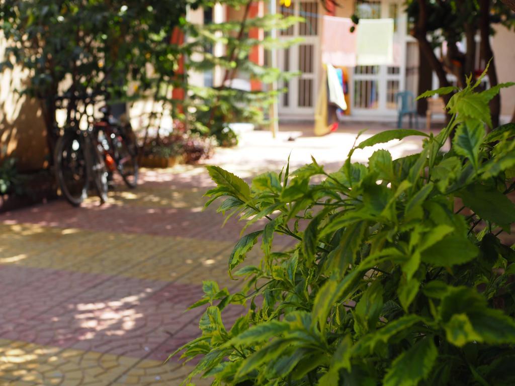 Manuhie Backpackers Lodge Bahir Dar Zimmer foto
